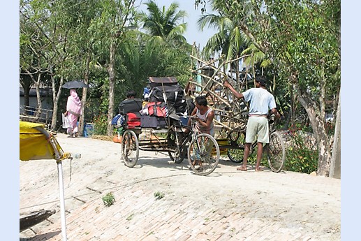 Viaggio in India 2008 - Sunderbans